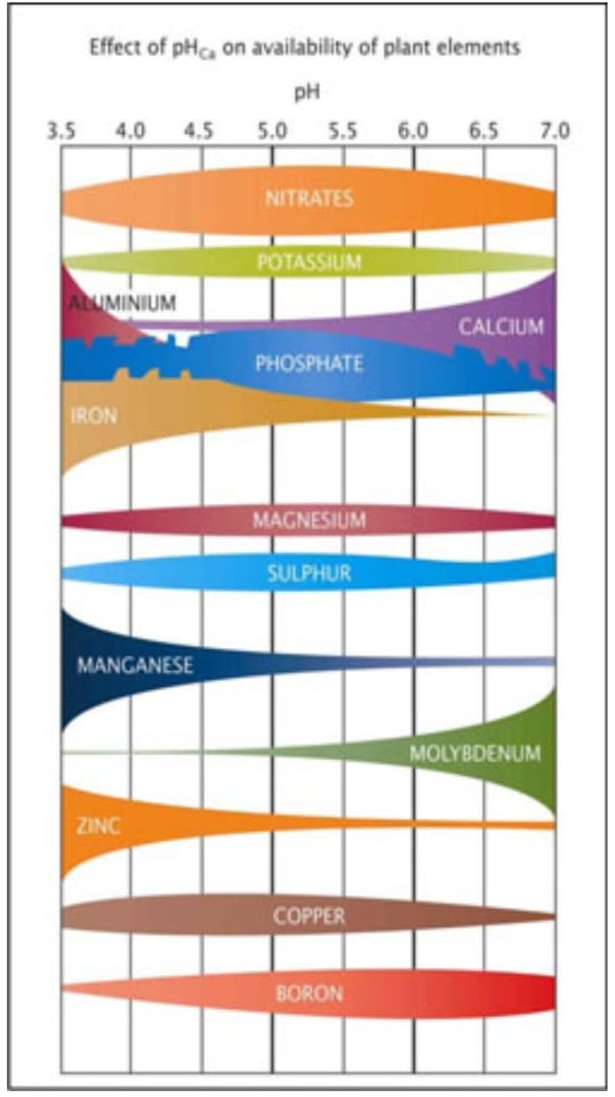 A chart showing how different nutrients become present in soils based on acidity