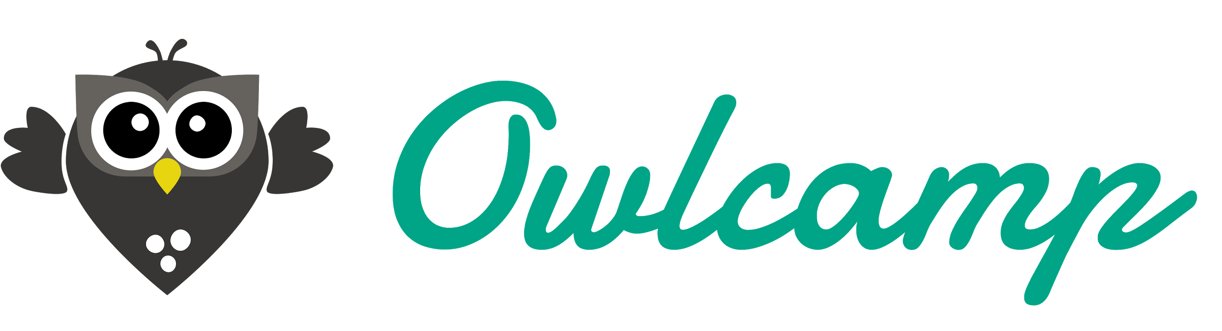Owlcamp logo